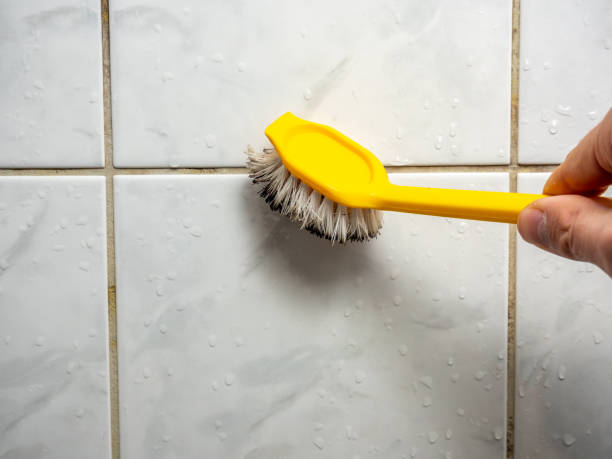 Best Mold Damage Repair  in Pawhuska, OK