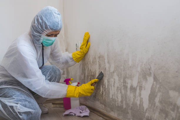 Best Office Mold Removal Services  in Pawhuska, OK