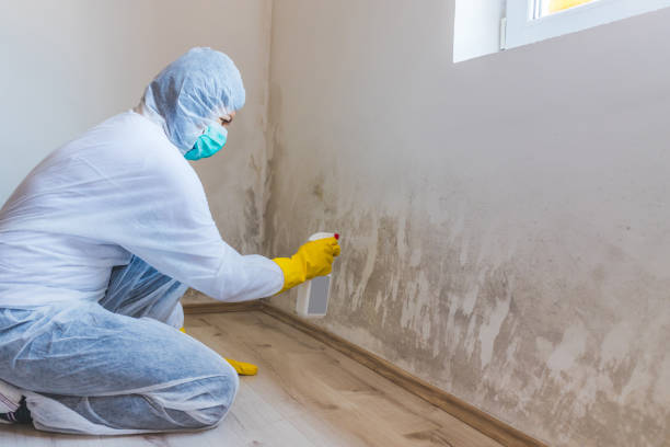 Mold Testing and Removal in Pawhuska, OK