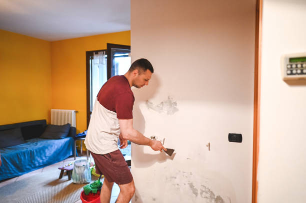 Best Local Mold Removal Service  in Pawhuska, OK
