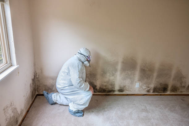 Best Professional Mold Removal  in Pawhuska, OK