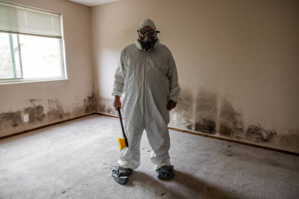 Mold Removal and Inspection in Pawhuska, OK